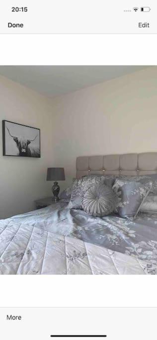 'the Nest' A Beautiful In Devon Holiday home Axminster