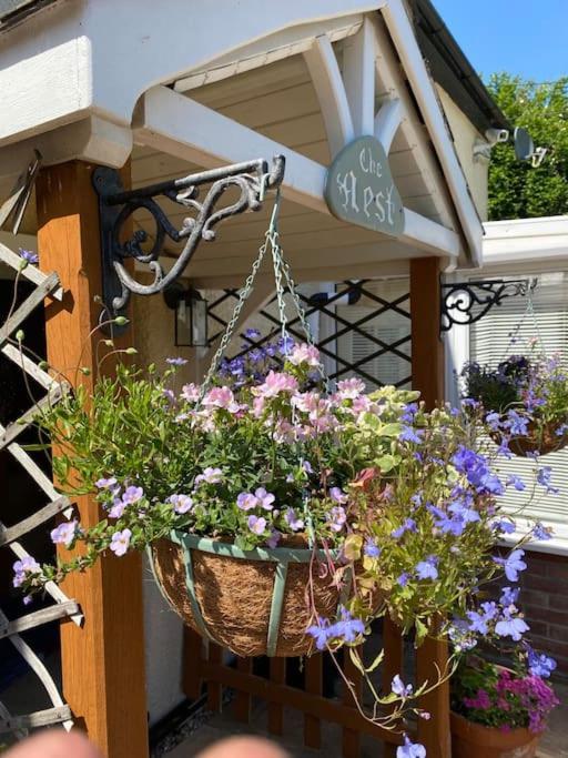 Holiday home 'the Nest' A Beautiful In Devon Axminster